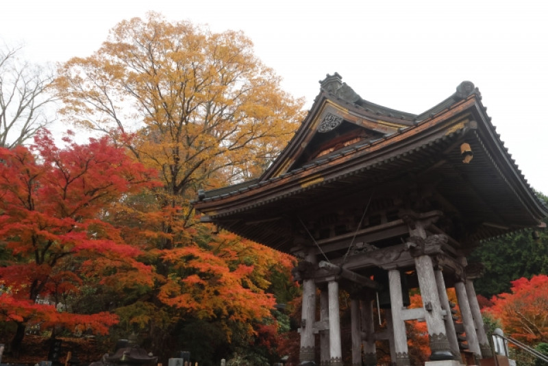 わかちあい東近江ウイングⅠ②
