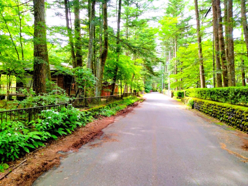 わかちあいファンド旧軽井沢大樹の森第6期